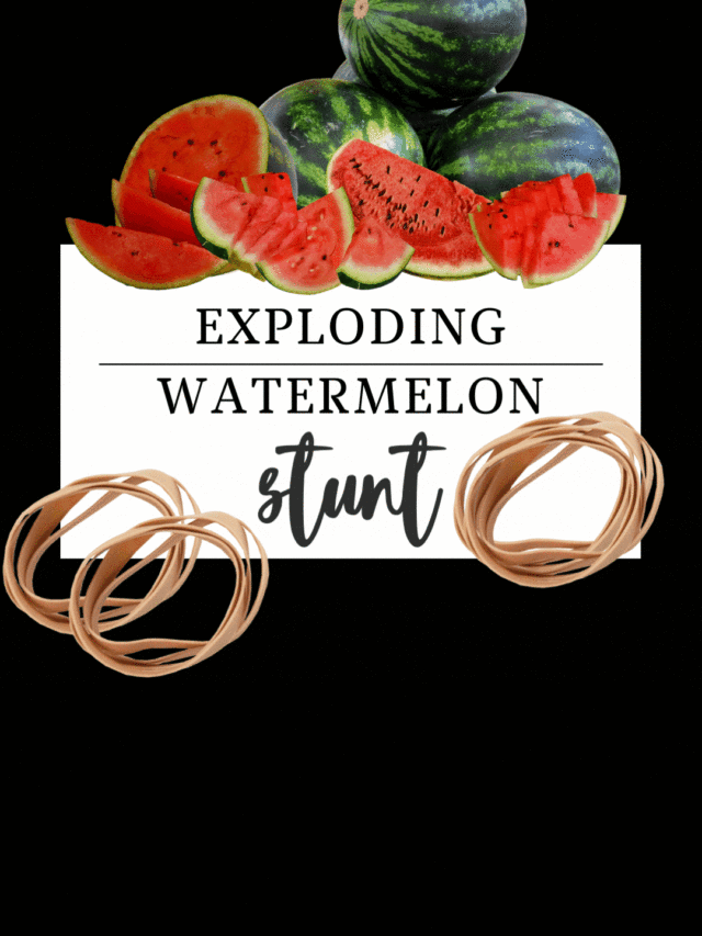 Exploding Watermelon Stunt is Back