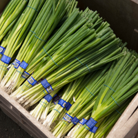 fresh produce packaging