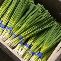 fresh produce packaging